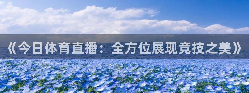 919直播吧体育：《今日体育直播：全方位展现竞技之美》