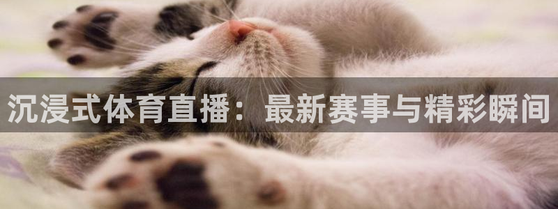 英超直播吧jrs：沉浸式体育直播：最新赛事与精彩瞬间