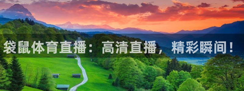 无插件体育直播吧：袋鼠体育直播：高清直播，精彩瞬间！