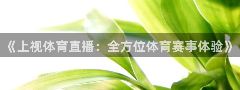 nba直播吧nba直播：《上视体育直播：全方位体育赛事体验》