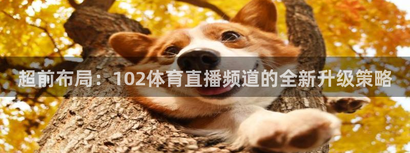 jrs直播吧nba直播视频直播：超前布局：102体育直播频道的全新升级策略