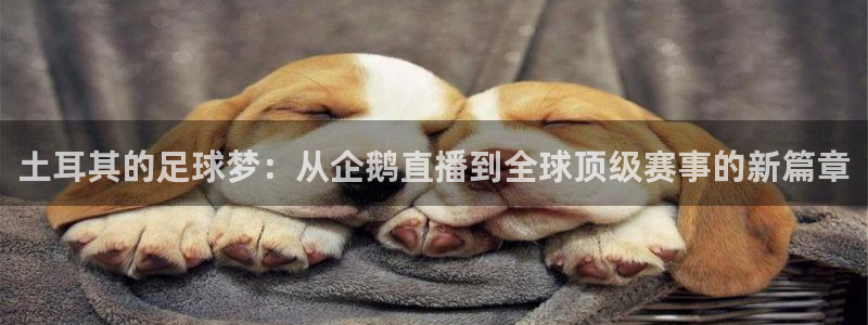 篮球直播nba直播吧：土耳其的足球梦：从企鹅直播到全球顶级赛事的新篇章