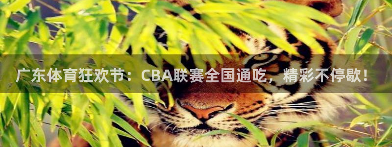 nba直直播吧极速体育：广东体育狂欢节：CBA联赛全国通吃，精彩不停歇！
