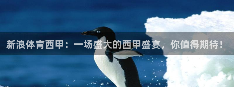体育直播吧在线直播：新浪体育西甲：一场盛大的西甲盛宴，你值得期待！